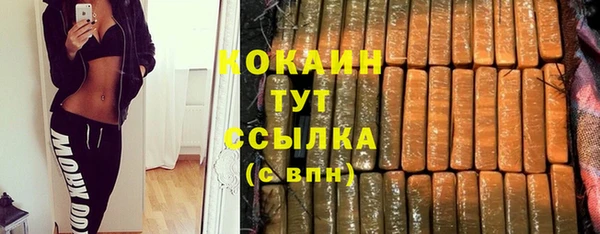 винт Абаза